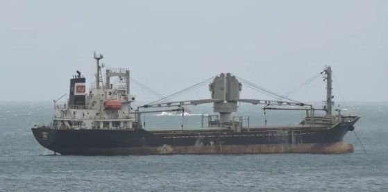 Watanabe Shipbuilding ALISON V ABT 6569 DWT ON 6.82 M DRAFT