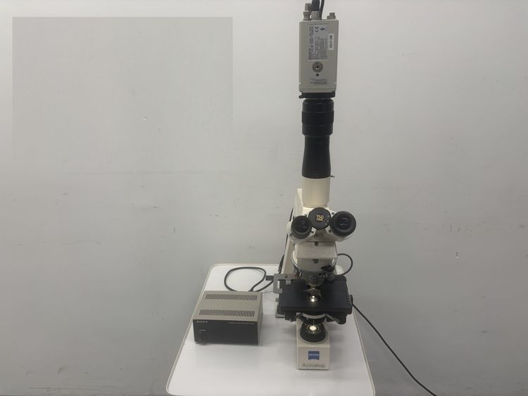 ZEISS Axioskop Microscope
