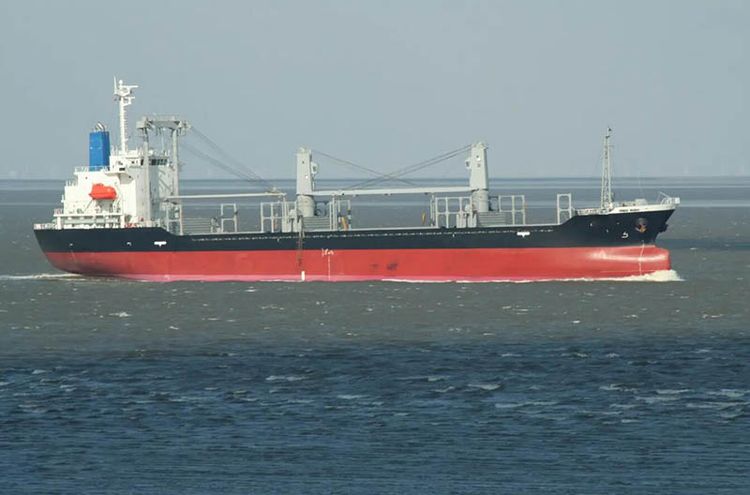 Higaki GENERAL CARGO SHIP (SINGLE DECK/LOGGER) ABT 12300DWT