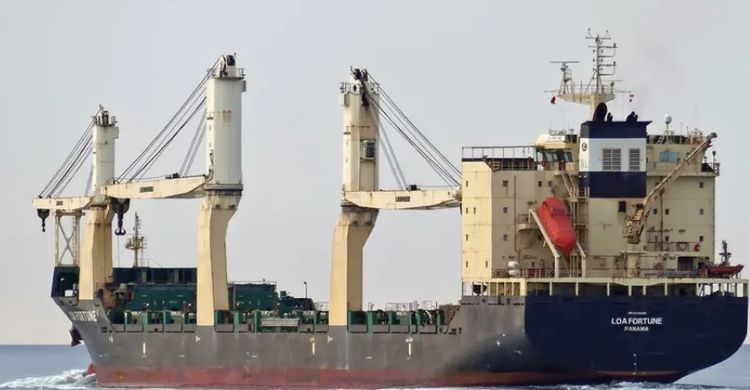 Wuhu Shipyard LOA FORTUNE ABT 24316 DWT ON 10.3 M DRAFT