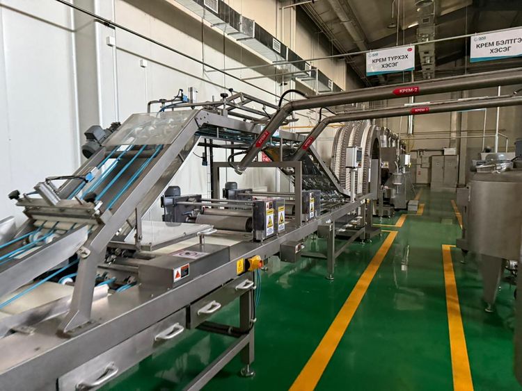 Gochem Wafer line 61 plates