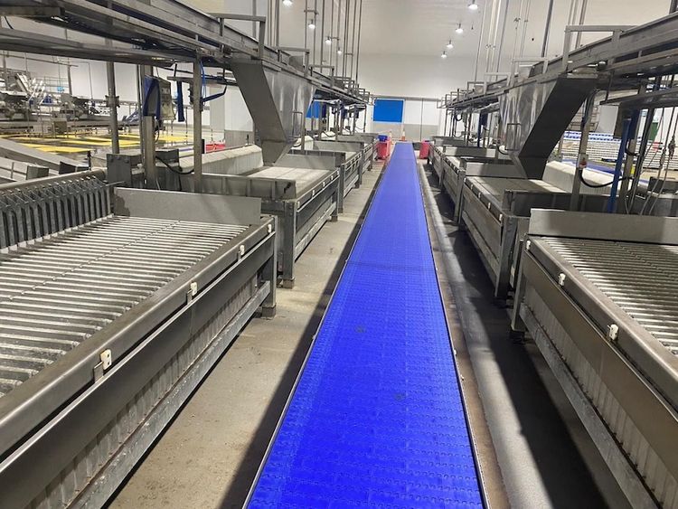 Dsi DSI DS-V3-42/50 Vertical Plate Freezer