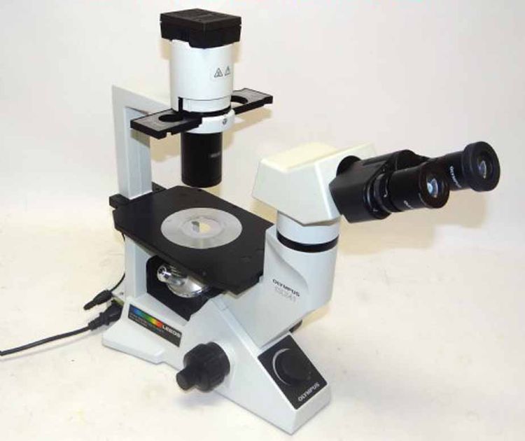 Olympus CKX-41 Inverted Microscope
