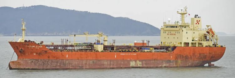 FORTUNE JIWON 11,260 DWT on 8.4 m draft