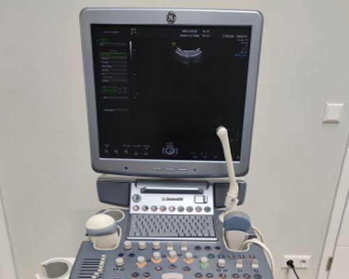 GE Voluson S6