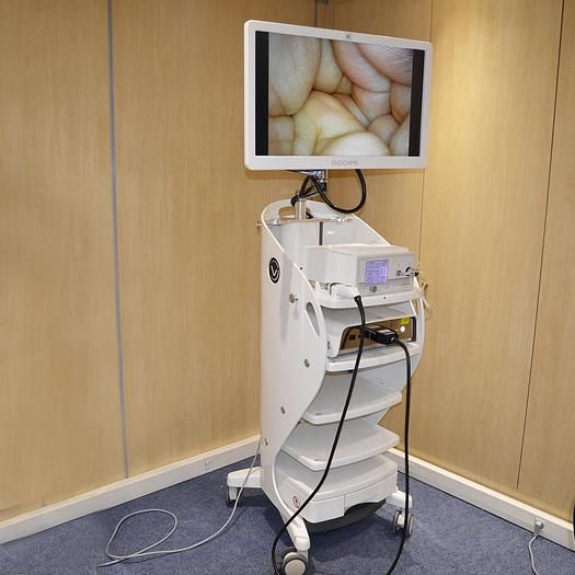 Coeliosurgical Column