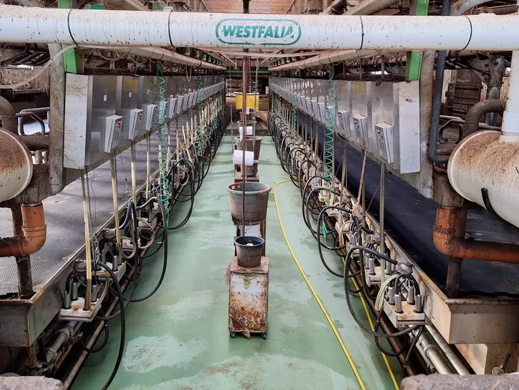 GEA 2x24 rapid exit milking parlour