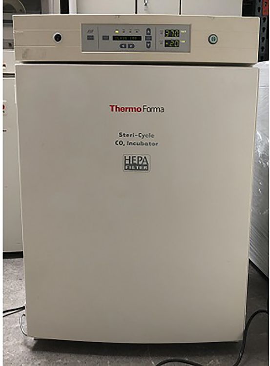 Thermo Forma 370  CO2 Incubator