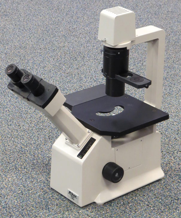 Nikon TMS, Inverted Phase Contrast Microscope