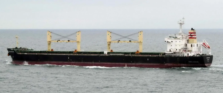 STX Offshore & Shipbuilding PETRUS 57374 DWT / 2011 BLT KRS / STX / GRD / SUPRAMAX