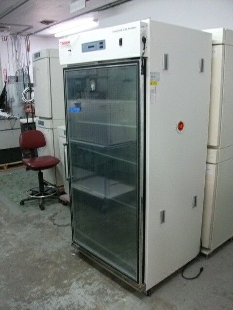 Thermo Forma 3950 Reach-in C02 Incubator