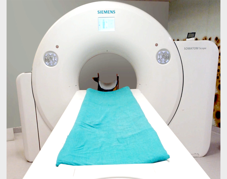 Siemens Scope 32 CT Scan
