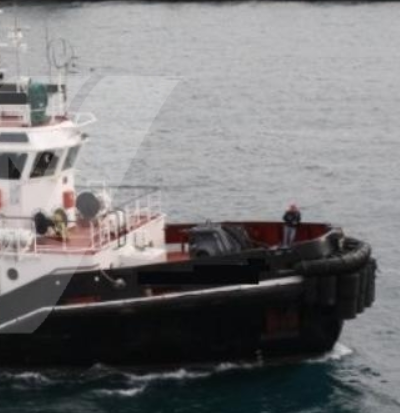 32M / 53T BP TUG  Deadweight: 220 t