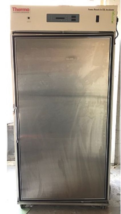 Thermo Scientific Forma 3950 Reach In CO2 Incubator