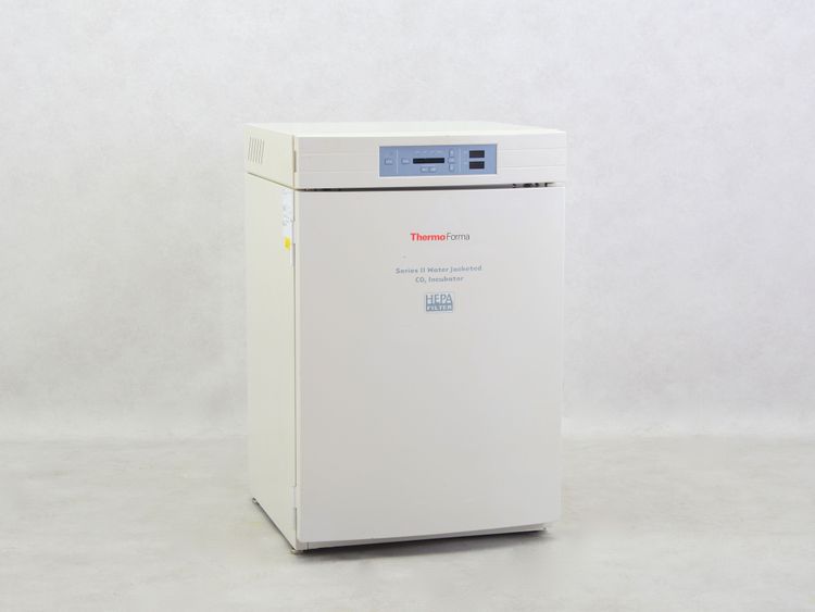 Thermo Forma 3111 CO2 incubator
