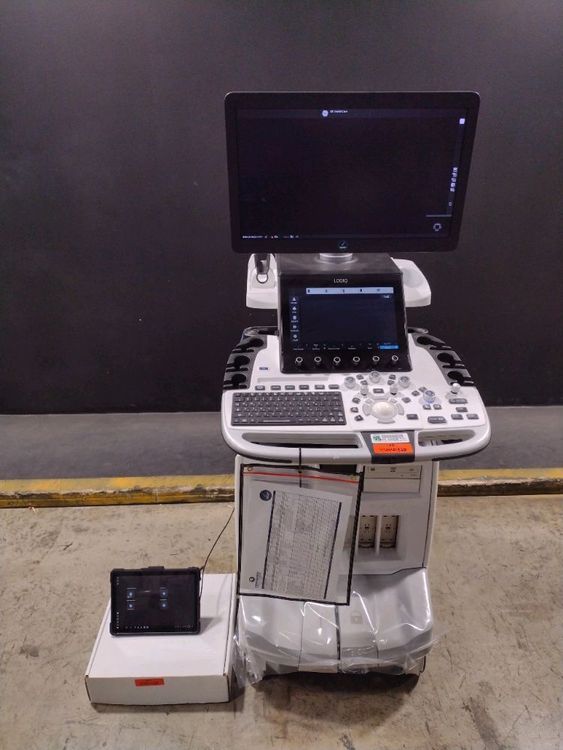 GE Logiq E10