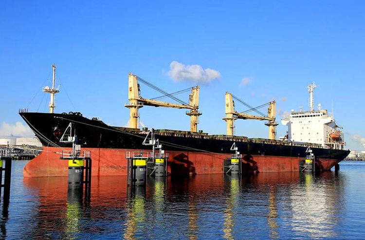 Guangzhou Bulk Carrier 26000 DWT