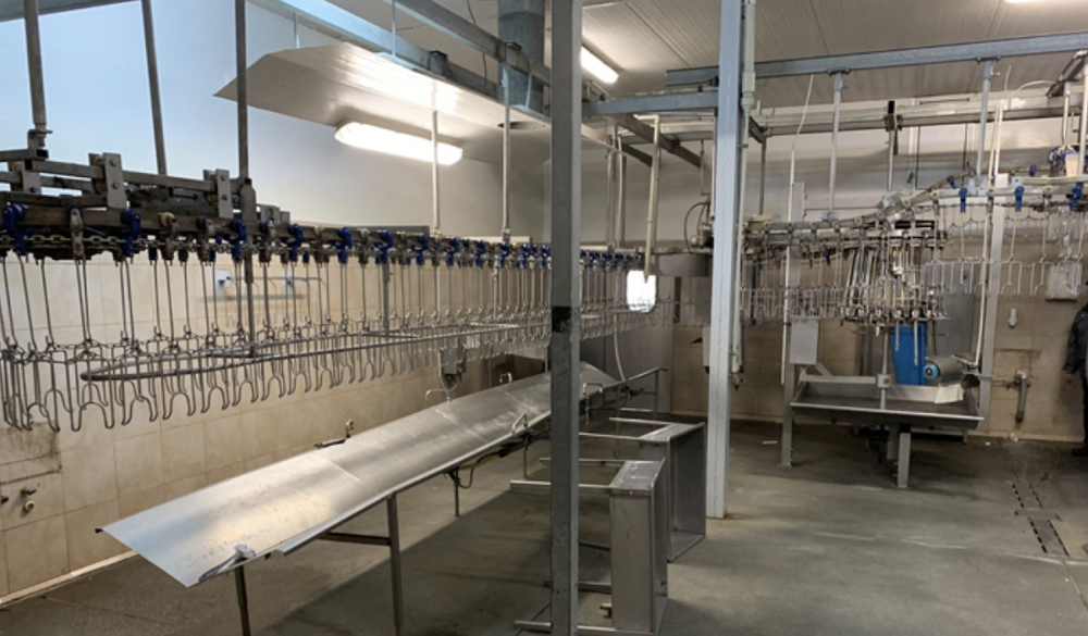 COMPLETE POULTRY PROCESSING PLANT