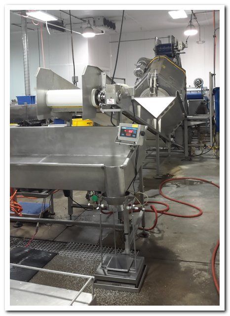 Brothers AB100 FRESH VEGETABLE PROCESSING LINE