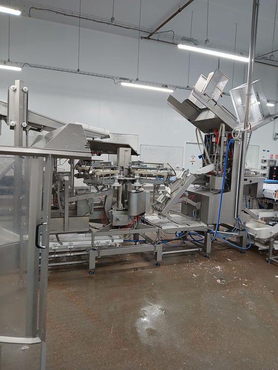 Marel 2630, Filleting line