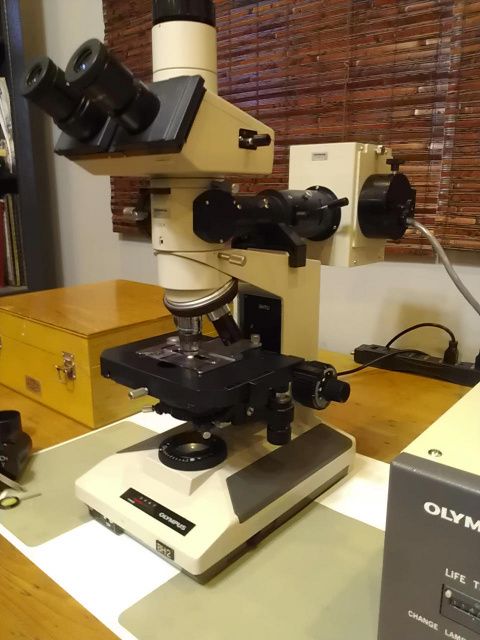 Olympus BH2-TU with Fluorescence