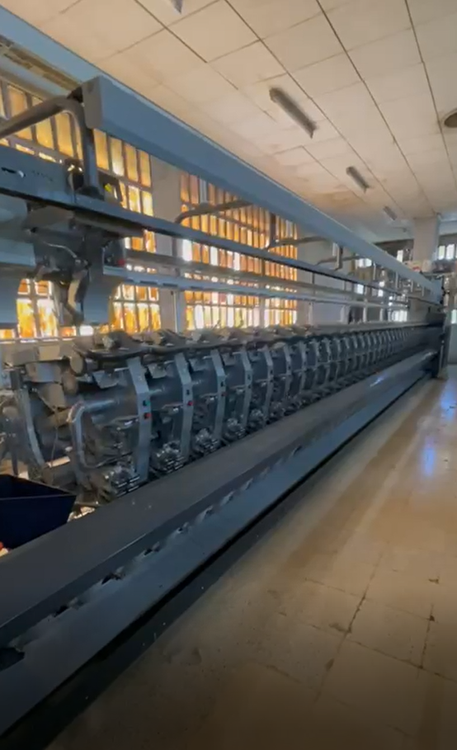 Savio Winders Espero E