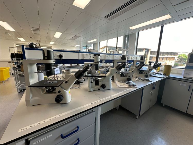 Biopharma Online Auction: Instil BIO Facility Closure, UK