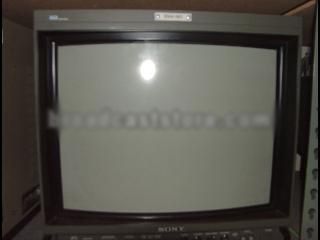 Sony BVM-1911 Color Monitor