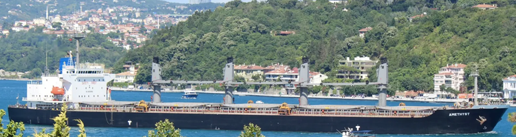 Minaminippon AMETHYST ABT 47301 DWT ON 11.77 M DRAFT