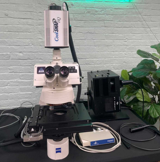 Carl Zeiss Everest Axioplan 2 Imaging Fluorescence Microscope