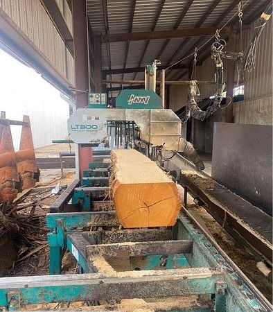 Wood-Mizer LT300 Sawmill