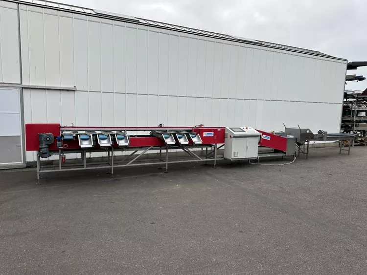 Strauss SWL178 Asparagus combination weighing system