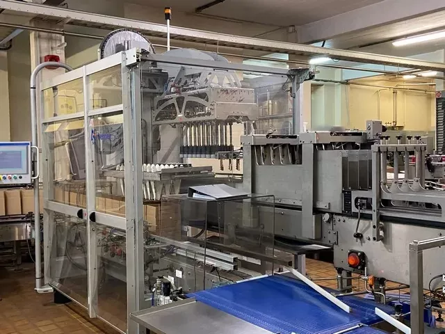 Sidel E460.60, Case Packer
