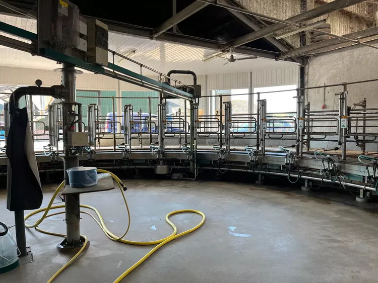 GEA 32  stands inside milking parlour