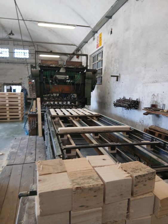 Erba Nailing line