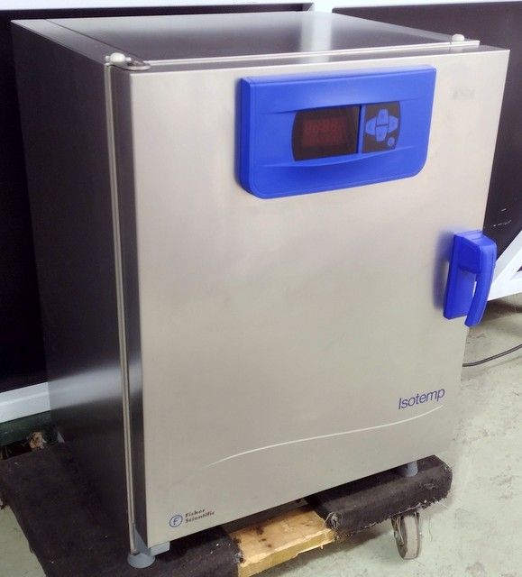 Thermo Fisher Isotemp 100L Microbiological Incubator