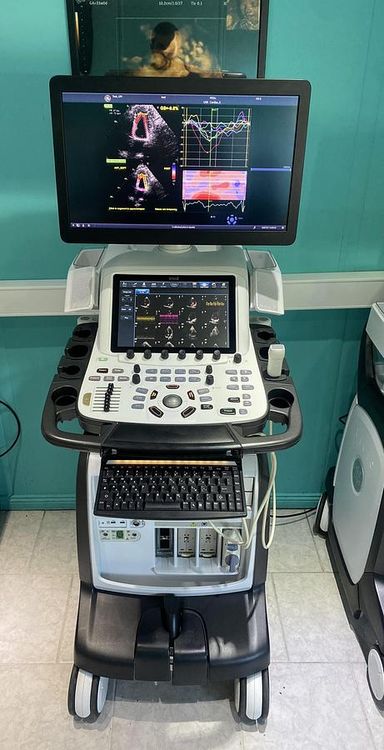 GE Vivid E95 V204