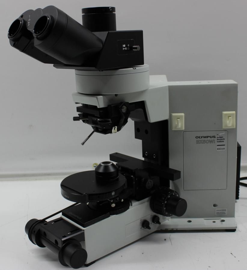 Olympus BX50WI, Binocular Microscope