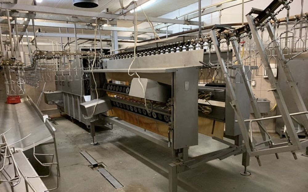 Complete poultry processing plant 1500 bph