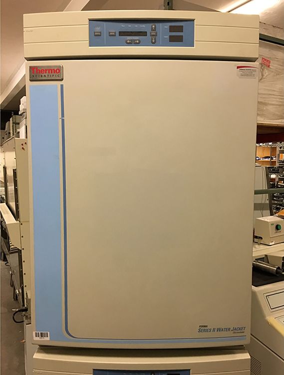 Thermo Forma 3110 CO2 Incubator