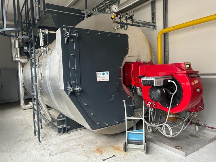 Industrial Steam Boiler Viessman