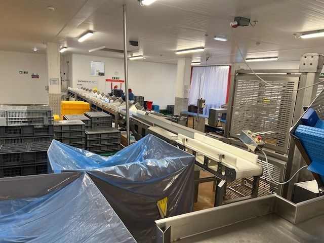 Marel 12 station Grader Line