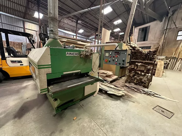 Pinheiro Tracked multisaw