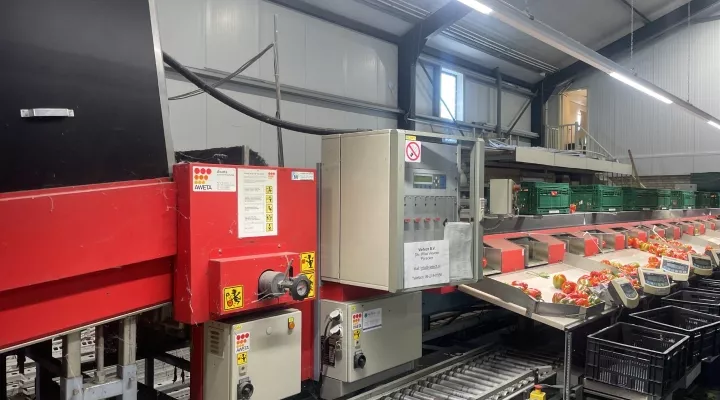 Aweta GMB4-12+1 Pepper sorting machine