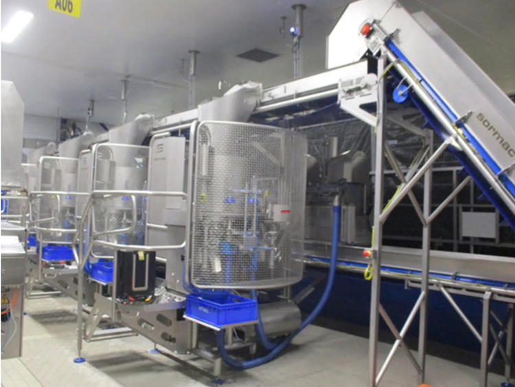 Sormac PO 30, Pepper Decoring Slicing Wedging Line