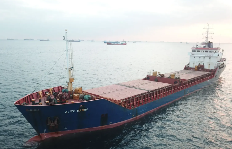 ALIYE HANIM ABT 3532 DWT ON 5.66 M DRAFT