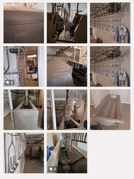 Poultry slaughterhouse equipment